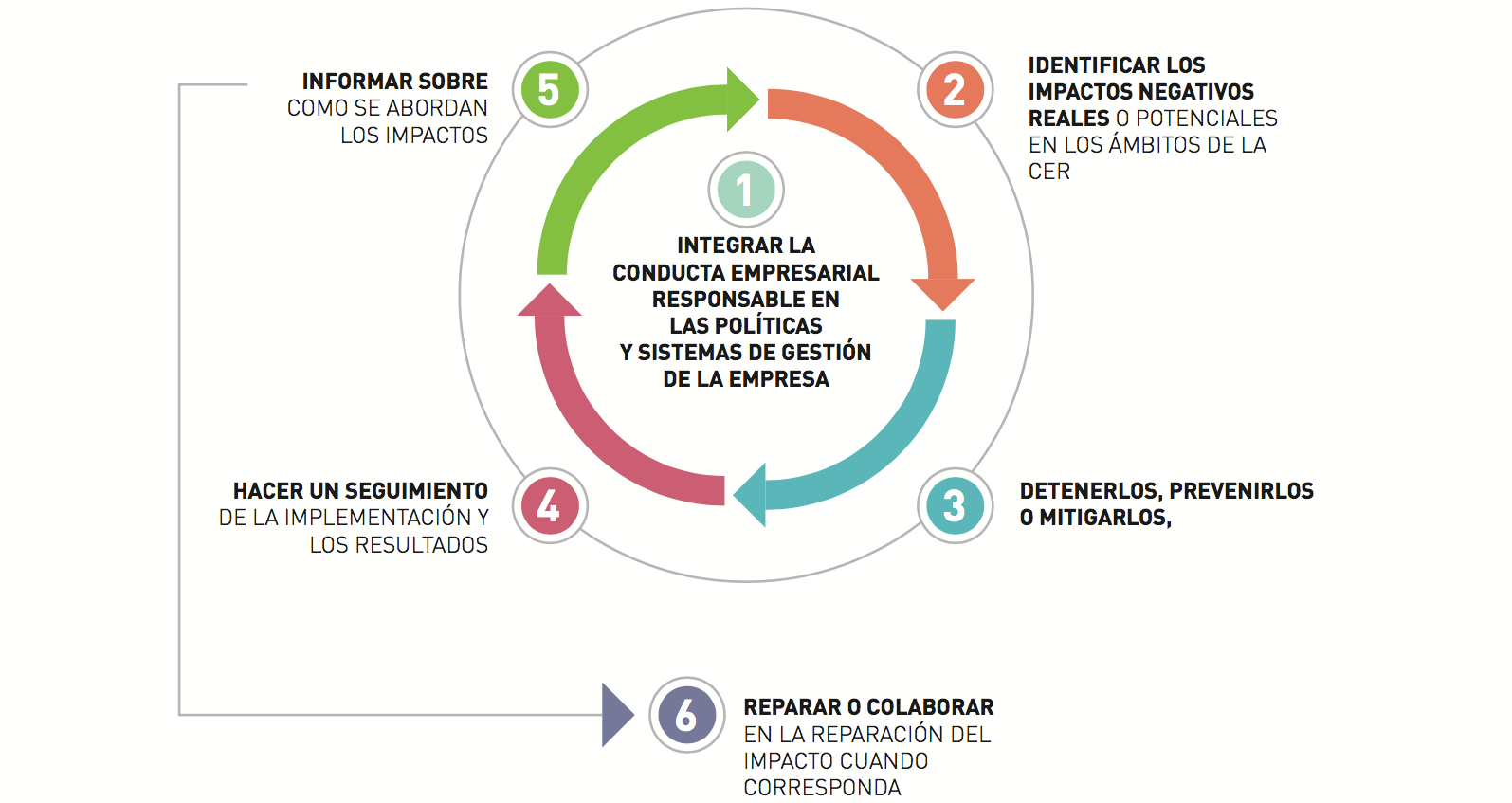 3.5 Debida Diligencia para una Conducta Empresarial Responsable: impulsando los aportes, limitando los impactos